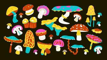 psichedelico acido funghi impostare. funghi nel il Groovy stile. piatto vettore illustrazione.