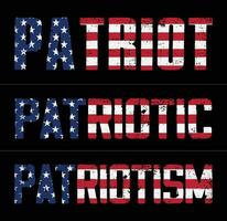 patriota, patriottico, patriottismo bandiera design vettore