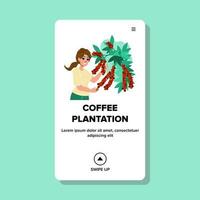 caffè piantagione vettore