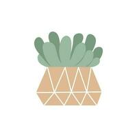cactus, succulento interno pianta nel pentola. vettore isolato illustrazione. floreale disegno nel cartone animato piatto stile.