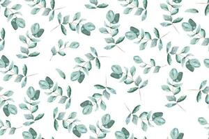 modello di eucalipto le foglie con acquerello.per tessuto e carta da parati.botanico sfondo vettore