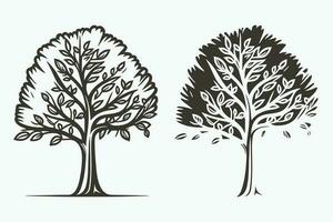 albero linea arte vettore, albero silhouette vettore, nero e bianca albero arte, treeline arte colorazione prenotare, albero vettore isolato