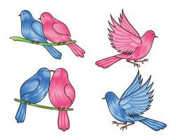 mano disegnato coppia uccello vettore illustrazione