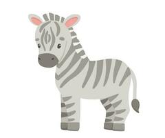 carino zebra nel cartone animato stile. disegno africano bambino selvaggio animale isolato su bianca sfondo. vettore dolce giraffa per bambini manifesto e carta. giungla safari animale