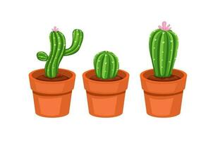 cactus su pentola collezione impostare. pianta della casa Hobby e decorazione cartone animato vettore