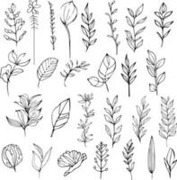 botanico colorazione pagina e libri, monocromatico vettore schizzo, Fiore di campo schizzo, botanico fiore vettore, botanico sfondo con naturale foglia collezione, illustrazione matita arte foglie, botanico arte