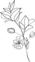 carino wildflowerr disegno, botanico Fiore di campo scarabocchio arte, botanica disegni disegno, mano disegnato botanico primavera elementi mazzo di selvaggio floewr linea arte, , facile fiore disegno. botanico fiore arte vettore