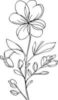 carino wildflowerr disegno, botanico Fiore di campo scarabocchio arte, botanica disegni disegno, mano disegnato botanico primavera elementi mazzo di selvaggio floewr linea arte, , facile fiore disegno. botanico fiore arte vettore