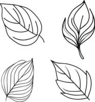 botanico vettore illustrazione colorazione pagina, semplicità, abbellimento, monocromo, vettore arte, schema Stampa con botanica foglia di ramo, botanico foglie, e mini cuffie, minimalis botanico tatuaggio.