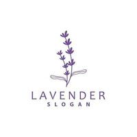 lavanda logo, semplice elegante viola fiore pianta vettore, saluto carta disegno, striscione, fiore ornamento, lavanda mano disegnato nozze, icona simbolo illustrazione vettore