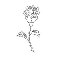 rosa, mano disegnato vettore illustrazione, floreale linea disegno, impostato di monocromatico fiore, linea arte, nero e bianca, illustrazione, vettore