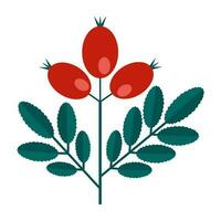 verde ramo di un' cane rosa con le foglie e rosso frutti di bosco semplice minimalista. floreale collezione di colorato elegante impianti per di stagione decorazione. stilizzato icone di botanica. azione vettore illustrazione