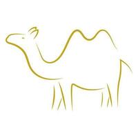 cammello vettore illustrazione design