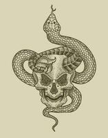 illustrazione demone cranio con serpente antico incisione stile vettore