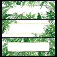 tropicale le foglie striscioni. esotico palma foglia striscione, naturale Noce di cocco palme ramo montatura e giungla impianti vettore sfondo design impostato