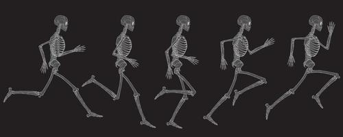 vista a raggi x del ciclo in esecuzione del disegno vettoriale di scheletro umano