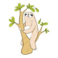 carino bradipo cartone animato. animale vettore icona illustrazione isolato su bianca sfondo