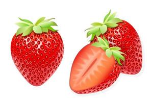 illustrazione di frutta dolce fragola per il web isolato su sfondo bianco vettore