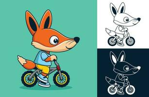 vettore illustrazione di carino Volpe cartone animato equitazione un' bicicletta