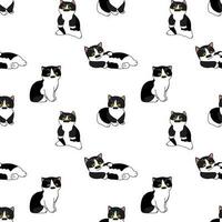 carino nero e bianca soriano gatto vettore
