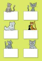 cartone animato gatti e gattini con carte design impostato vettore