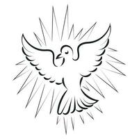 Pentecoste Domenica colomba logo vettore illustrazione