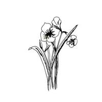 monocromatico selvaggio fiori mazzo. vettore illustrazione scarabocchio stile. artistico elemento per design.