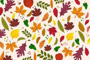 set di foglie d'autunno vettore