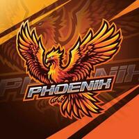 disegno del logo della mascotte di phoenix esport vettore