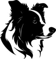 confine collie, nero e bianca vettore illustrazione