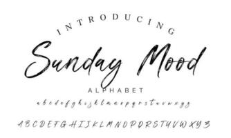 firma font calligrafia logotipo copione spazzola font genere font lettering manoscritto vettore