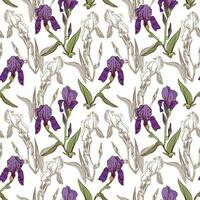 vettore viola iridi con foglie, iris silhouette. fiore senza soluzione di continuità modello per bambino tessili, involucro carta, saluto carte, sfondi e copertine.