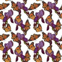 arancia monarca farfalla e viola iris fiori. vettore senza soluzione di continuità modello con farfalle e iridi. design di tessili, copertine, Abiti, involucro carta.
