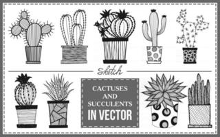 set di cactus su uno sfondo bianco vettore