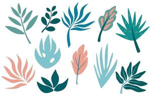 set di foglia tropicale, verde, foglie, ramoscello, ramo. elementi grafici botanici disegnati a mano. vettore