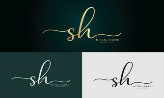 sh iniziale grafia e firma logo design con cerchio. bellissimo design manoscritto logo per moda, squadra, nozze, lusso logo. vettore