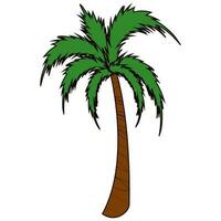 verde e Marrone palma o Noce di cocco albero su bianca sfondo. vettore