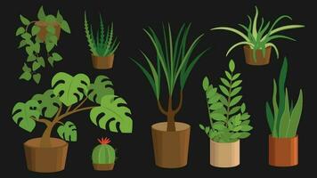 vettore illustrazione di vario piante d'appartamento su nero sfondo.