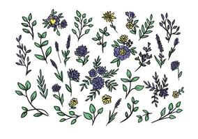 vettore mano disegnato grande collezione con selvaggio e medicinale erbe aromatiche. mano disegnato botanico schizzo con impianti e fiori. per stampa, carte, imballaggio.differente fiori su bianca sfondo.