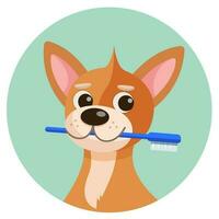 animale domestico cura illustrazione per contenuto, etichetta, striscione, grafico e saluto carta. animale domestico cura. cane con un' spazzolino. vettore