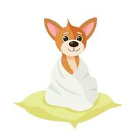 pulito cane nel un' asciugamano. carino cartone animato cane. cane nel un' asciugamano dopo lavaggio. rosso cane si siede su un' cuscino. animale domestico cura. vettore