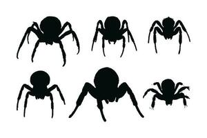 peloso ragni e insetti seduta, sagome su un' bianca sfondo. selvaggio insetti seduta nel diverso posizioni. pericoloso tarantola ragni silhouette fascio. ragno pieno corpo silhouette collezione vettore