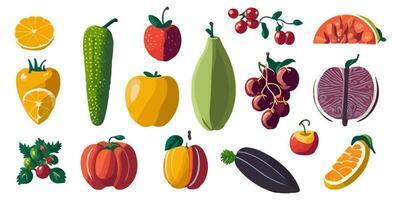 assortimento di dolce e rinfrescante frutta illustrato nel vettore splendore