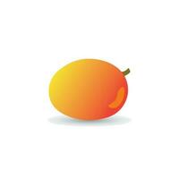 Mango frutta illustrazione design vettore