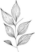 le foglie vettore disegno un' ramo di botanico collezione schizzo arte, vettore, illustrazione colorazione libro.