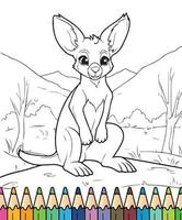 colorazione libro canguro vettore