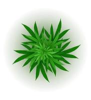 illustrazione di vettore di legalizzazione della droga medicinale foglia di cannabis marijuana isolato su sfondo bianco