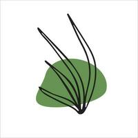 vettore illustrazione di un' erba contorno su un' verde macchiare.