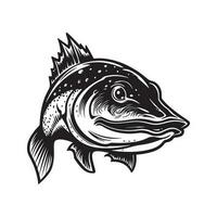 piraiba pesce gatto, Vintage ▾ logo linea arte concetto nero e bianca colore, mano disegnato illustrazione vettore