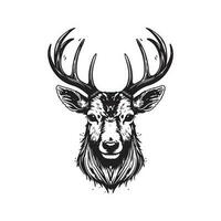 cervo testa, Vintage ▾ logo linea arte concetto nero e bianca colore, mano disegnato illustrazione vettore